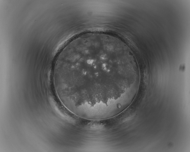 X0000113550491200910021534