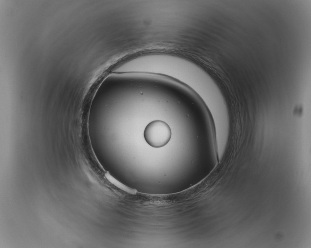 X0000113550492200910021534