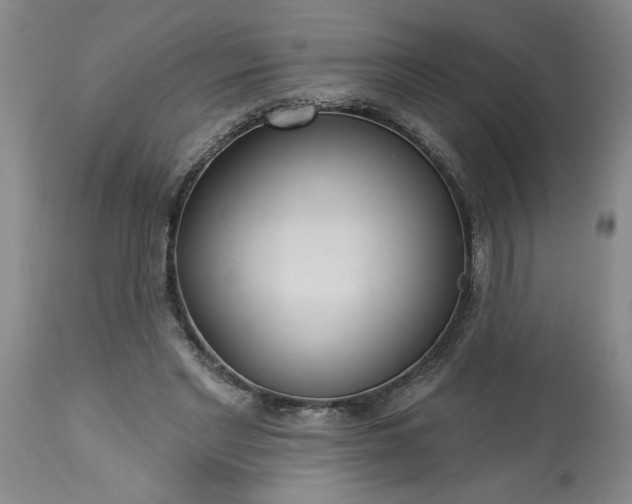 X0000113550493200910021534