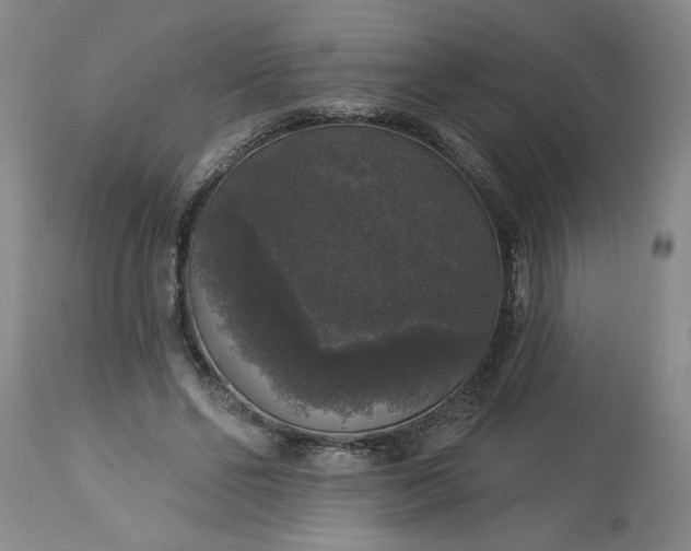 X0000113550494200910021534