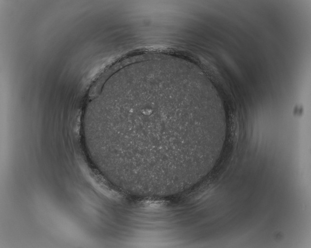 X0000113550495200910021534