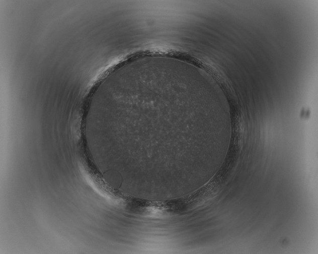 X0000113550496200910021534