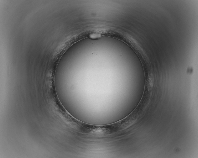 X0000113550497200910021534