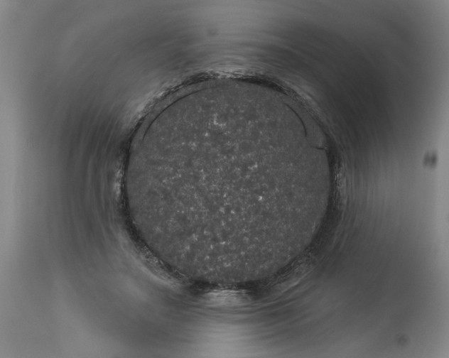 X0000113550499200910021534