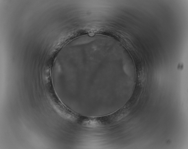 X0000113550503200910021533