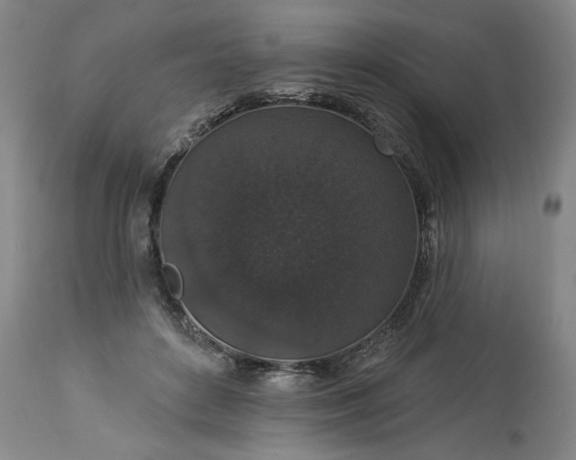 X0000113550504200910021533