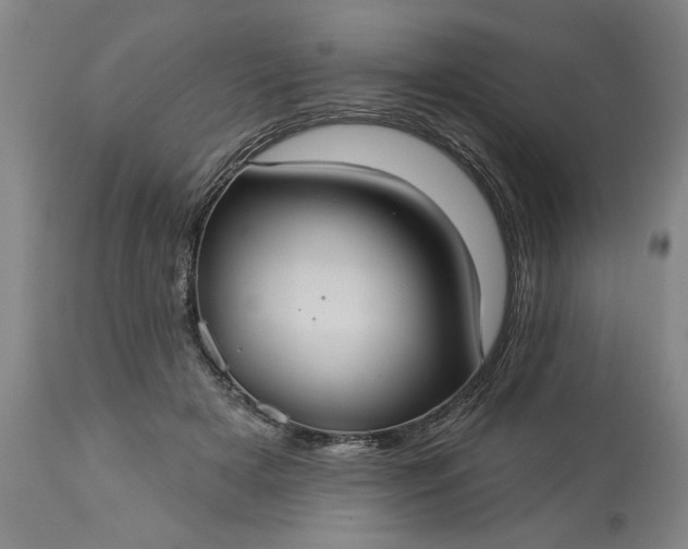 X0000113550505200910021533