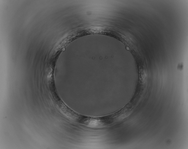 X0000113550507200910021533