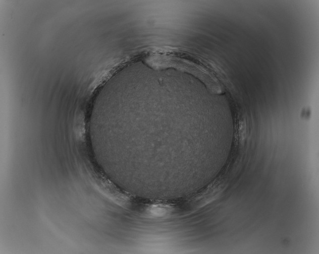 X0000113550508200910021533