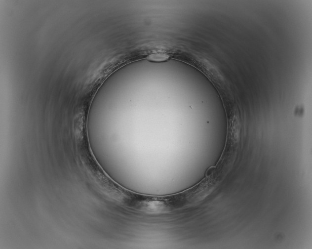 X0000113550509200910021533