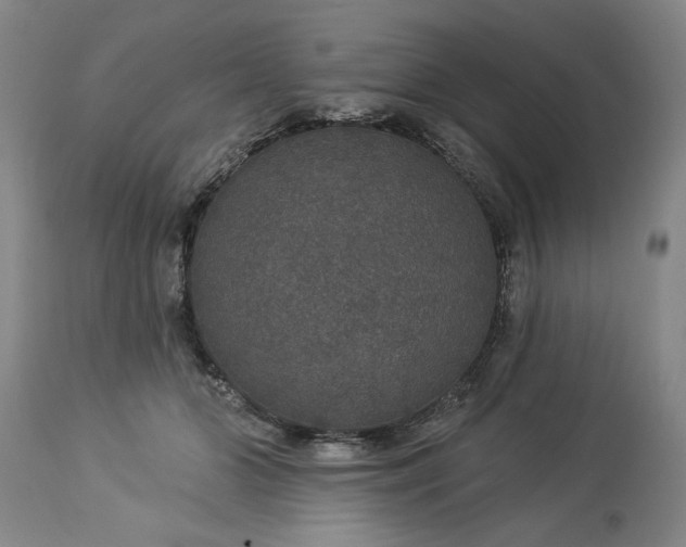 X0000113550510200910021533