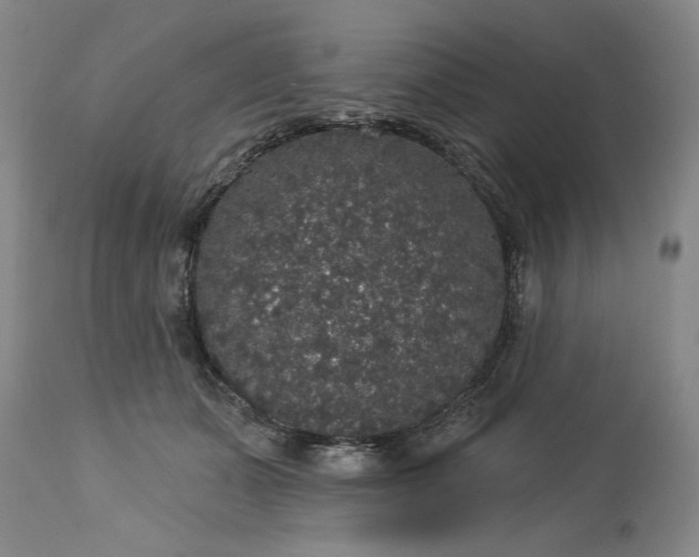 X0000113550511200910021533