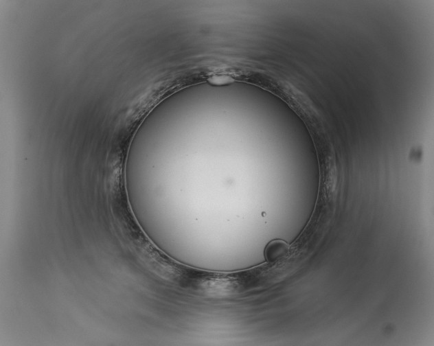 X0000113550513200910021533