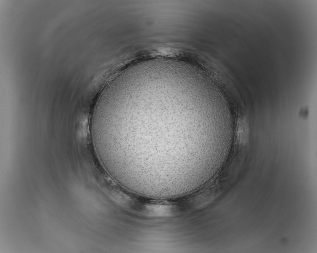 X0000113550514200910021533