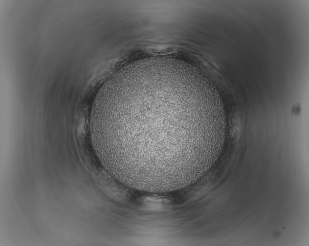 X0000113550515200910021533