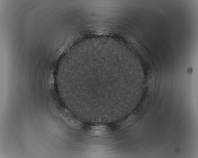 X0000113550516200910021533