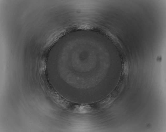 X0000113550517200910021533