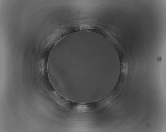 X0000113550519200910021533