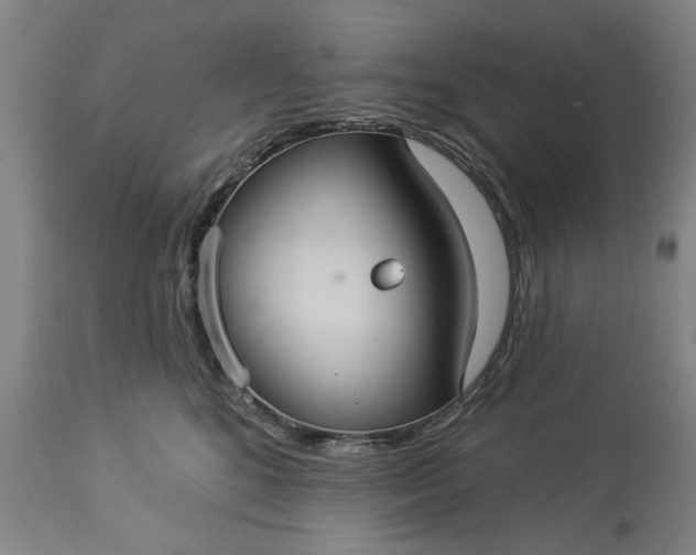 X0000113550520200910021533