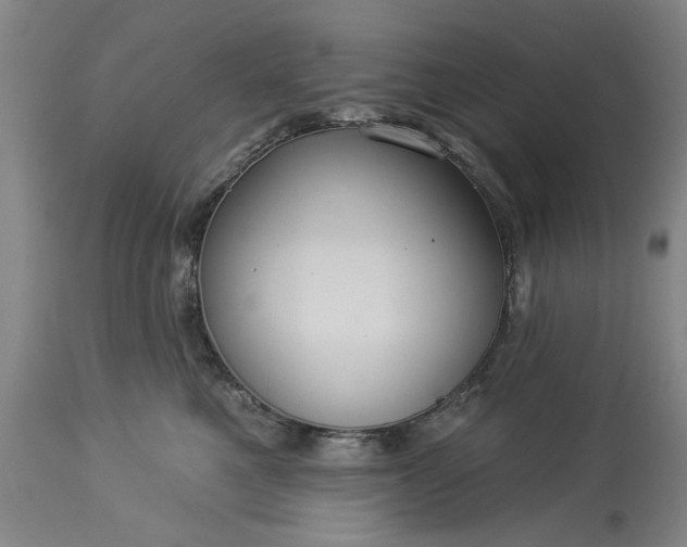 X0000113550521200910021533