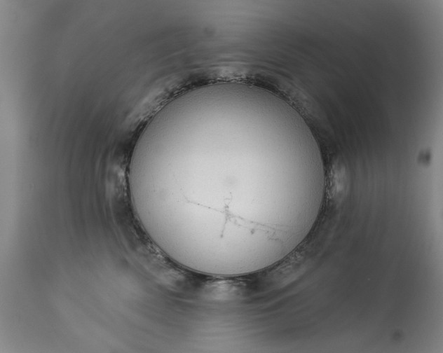 X0000113550522200910021533