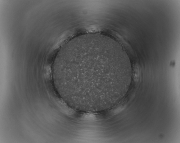 X0000113550523200910021533