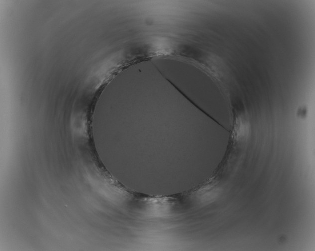 X0000113550524200910021533