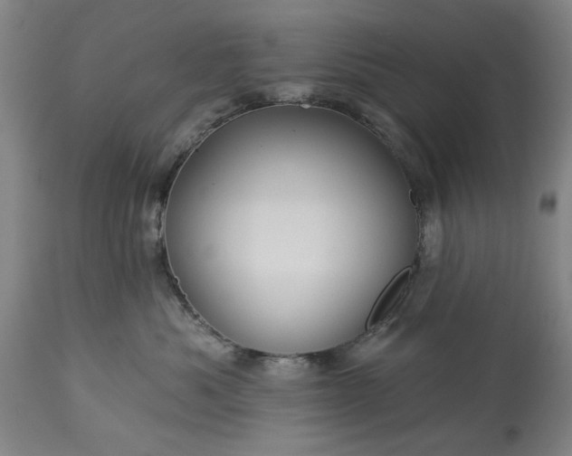 X0000113550525200910021533