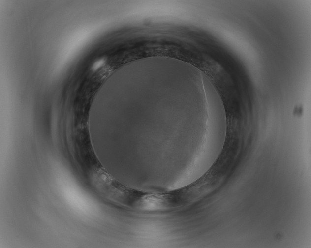 X0000113550526200910021533