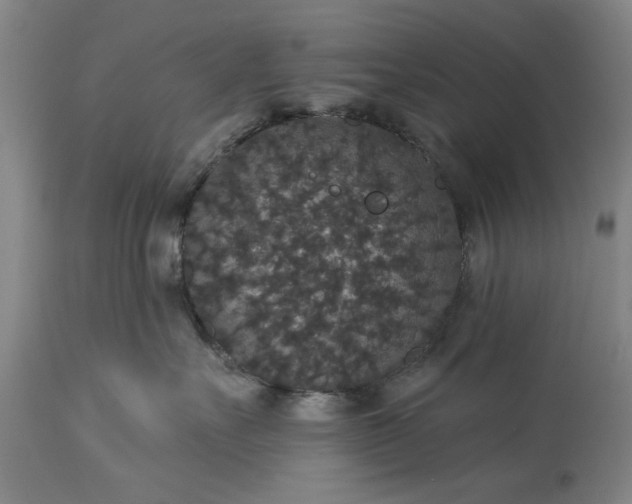 X0000113550527200910021533