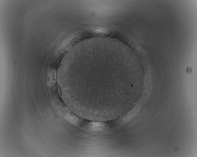 X0000113550528200910021533