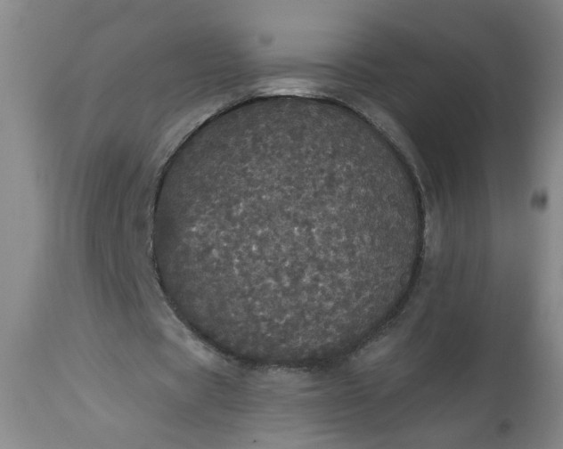 X0000113550529200910021532