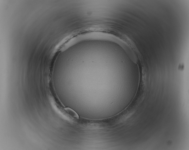 X0000113550530200910021532