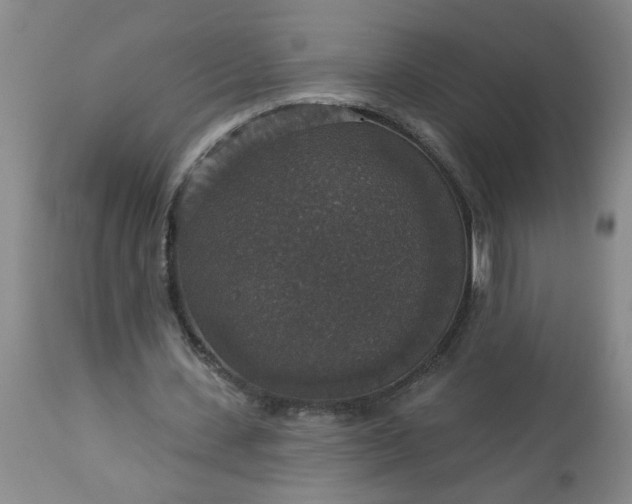 X0000113550531200910021532