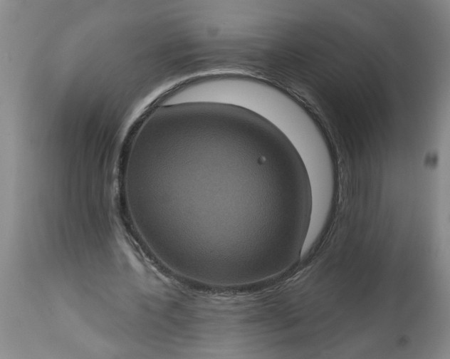 X0000113550532200910021532