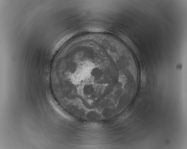 X0000113550533200910021532