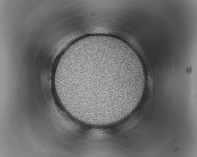 X0000113550534200910021533