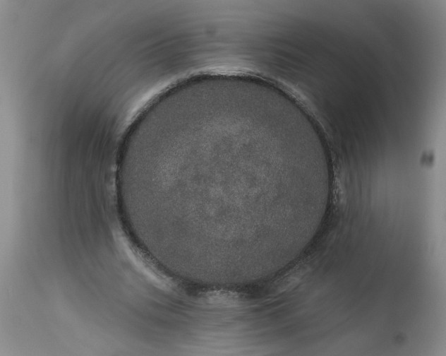 X0000113550535200910021533