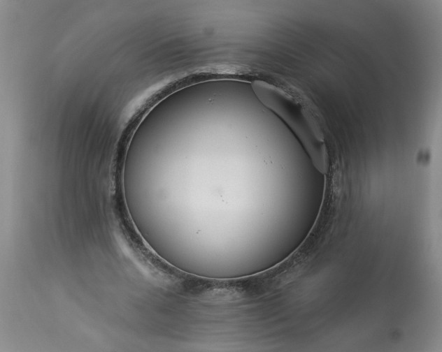 X0000113550536200910021533