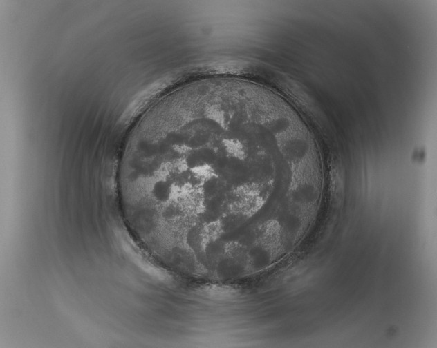 X0000113550537200910021533