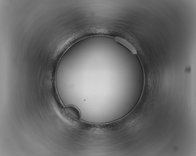 X0000113550538200910021533