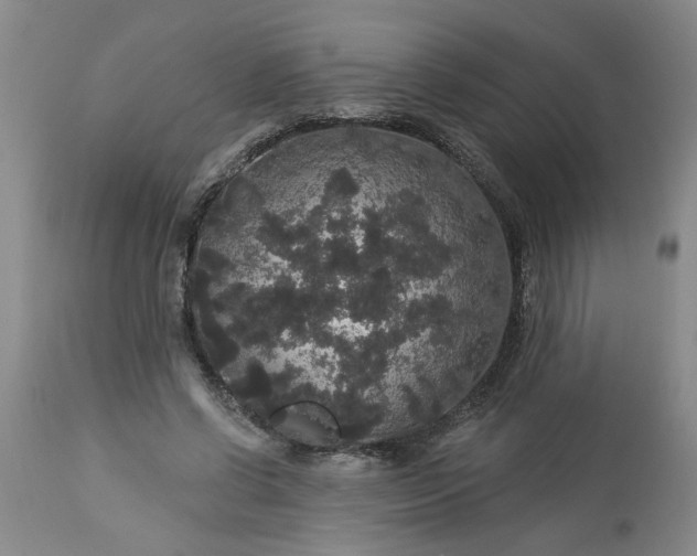 X0000113550542200910021533