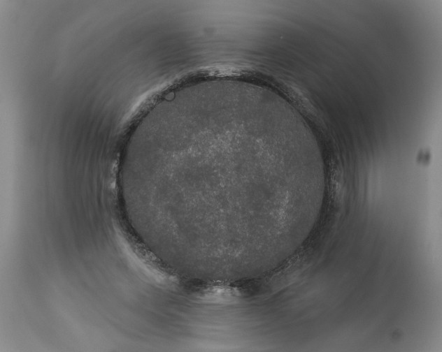 X0000113550543200910021533