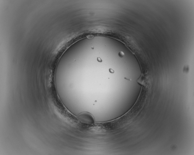 X0000113550544200910021533