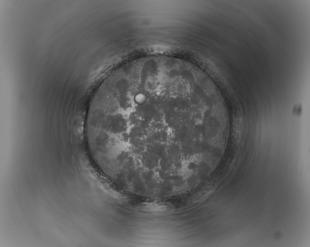 X0000113550545200910021533