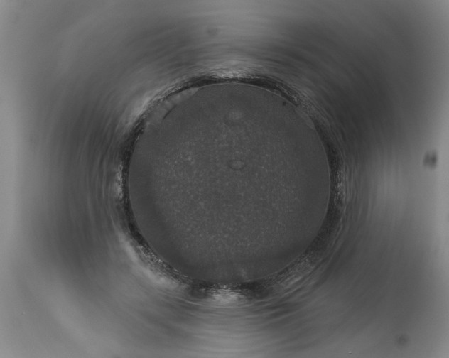 X0000113550547200910021533