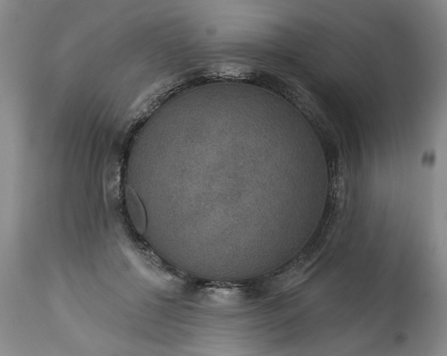 X0000113550552200910021533