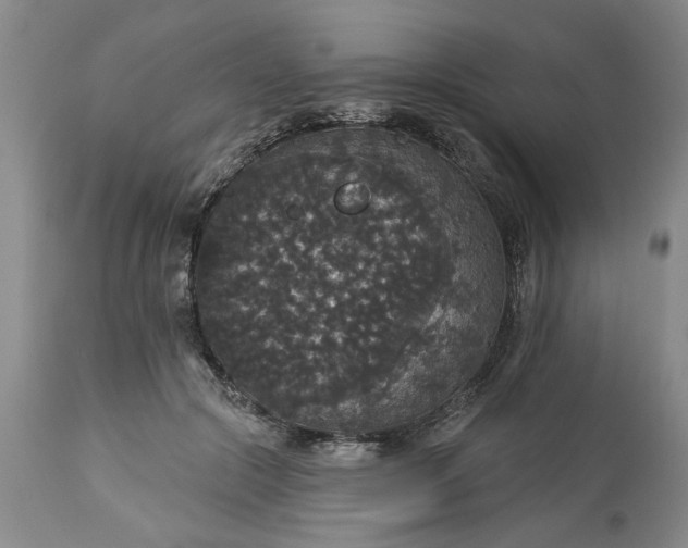 X0000113550553200910021533