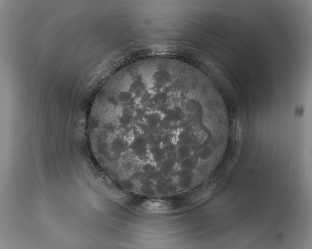 X0000113550557200910021533