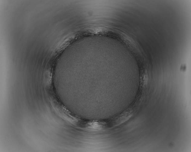 X0000113550558200910021533